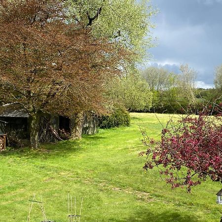 Horseford Lodge B&B South Molton Extérieur photo